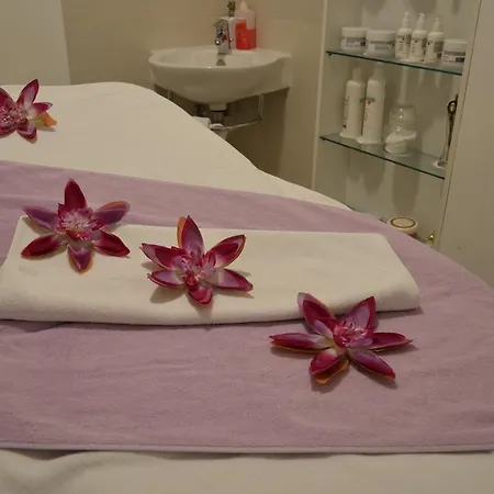 Отель Mozart 4*