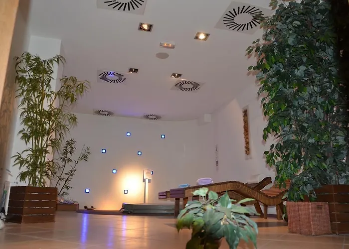 Mozart 4* オパティヤ